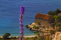 Beach tours in Croatia - Dubovica cove, Hvar island