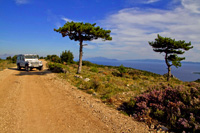 Croatia off road tours by Ilirio - Land Rover Defender with Dalmatian pattern