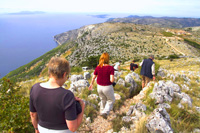 Holidays in Croatia, Ilirio's safari packages