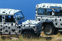 Ilirio's off road safari vehicles - Land Rover Defender with Dalmatian dog pattern