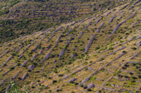 Eco safari tours - dry stone wall net