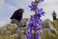 Croatia, Ilirio's hiking tours