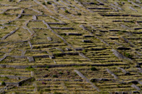 Ilirio's eco tours, landscape of stony shapes