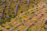 Ilirio's safari tours in Croatia - stony net landscape