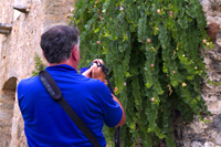 Safari tour on the island of Hvar - guest taking a foto