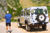 Safari tours on the island of Hvar