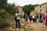 Safari holidays on Hvar island