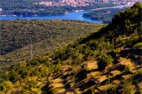 Dalmatian island safari - Island of Hvar sceneries