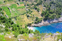 Vineyard tour in Croatia - Lucisce bay south and vineyards on slope